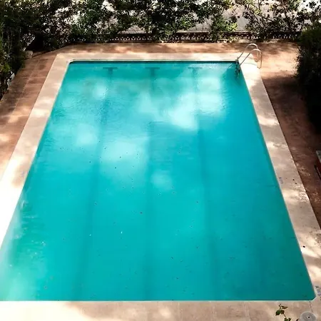 Vila Marta, A Fantastic By The Sea